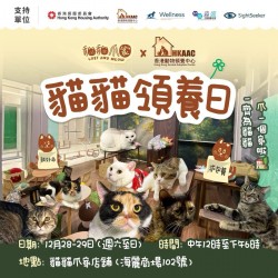 27 Dec 2024 「貓貓爪家」領養日
